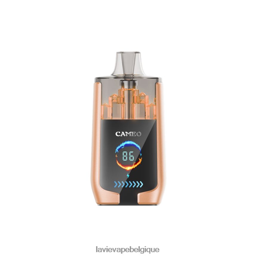 46406822 Lavie Vape Belgique | cerise LAVIE CAMEO 30000 bouffées